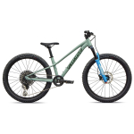 Specialized Riprock Comp 24" laste jalgratas | Gloss Agave Grey - Oak Green Metallic