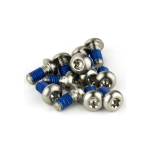 SRAM Rotor Bolt Titanium Kit | Silver