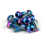 SRAM Rotor Bolt Titanium Kit | Rainbow