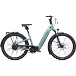 Specialized Turbo Como 5.0 IGH elektrijalgratas | Gloss Agave Grey - Oak Green Metallic, L