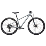 Specialized Rockhopper Comp 29" maastikuratas | Satin Shadow Silver - Silver Dust, XXL