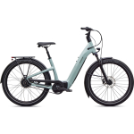 Specialized Turbo Como 4.0 IGH elektrijalgratas | Gloss Agave Grey - Oak Green Metallic, L