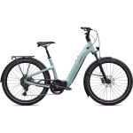 Specialized Turbo Como 4.0 elektrijalgratas | Gloss Agave Grey - Oak Green Metallic, L