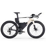 BMC Speedmachine 01 One triatloni jalgratas | Carbon - Dust Gold, M