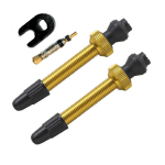 Barbieri Tubeless Valve | SV 45mm | 2 tk | Gold
