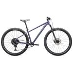 Specialized Rockhopper Comp 29" maastikuratas | Mauve Fiery Jade Metallic, XXL