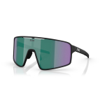 BLIZ P001 p&auml;ikeseprillid | Black - Brown Green Multicolour