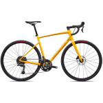 Specialized Allez maanteeratas | California Sunshine - Orange Zest, 61