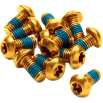 Reverse Components  piduriketasi poldid | Gold | 12 vnt