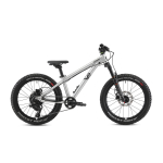 Early Rider Charger 20" lastejalgratas | Brushed Aluminium