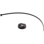 Cat Eye Cadence Magnet