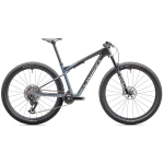 S-Works Epic World Cup maastikuratas | Glacial Metallic Granite - Brushed Chrome, XL