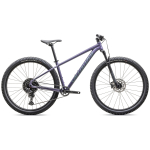Specialized Rockhopper Comp 29" maastikuratas | Satin Mauve Metallic - Fjord Metallic, XL