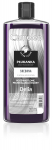 DELIA CAMELEO h&otilde;bedane juuksehooldus 200ml uus