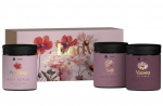 HISKIN Pink Blooms Lady kehahoolduskomplekt (koorija, v&otilde;i, sool)