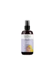 SOLVERX Baśka prebiootiline juuksevesi - Maciejka 100 ml