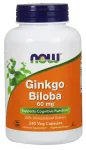 Ginkgo Biloba, 60mg - 240 vcaps - NOW Foods