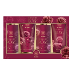 AURORA Midnight Rose Box kinkekomplekt - 4 toodet