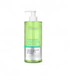 BIELENDA PROFESSIONAL antibakteriaalne normaliseeriv toonik 500 ml