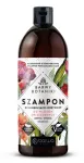BARWA Botanical Colors taastav - toitev &scaron;ampoon kahjustatud juustele 480ml