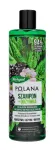 HERBAPOL Polana &scaron;ampoon ja palsam juustele 2in1 - Must s&otilde;star ja n&otilde;ges mentooliga 400ml