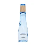 The SAEM Iceland niisutav n&auml;otoonik 160ml