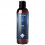ORGANIQUE For Men Du&scaron;igeel meestele 250ml