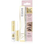 EVELINE Lash & Brow Multipeptide seerum ripsmete ja kulmude kasvuks