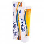 Creme arthro - 60g - Ice Power