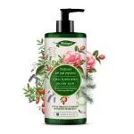 HERBAPOL Du&scaron;igeel - Camellia &otilde;li ja Goji marjad 740ml