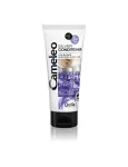 Delia Cosmetics Cameleo h&otilde;bepalsam heledatele ja hallidele juustele 200ml