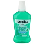 TOŁPA Dentica Extra Fresh Mint suuvesi 500 ml
