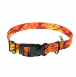 4wild.eu Orange Camo 25 mm 37-57 cm Koera kaelarihm