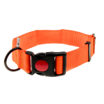 4wild.eu Orange 40 mm 39-61 cm Koera kaelarihm