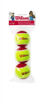WILSON STARTER RED BALLS Tennise pallid, 3 tk.