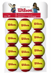 WILSON STARTER RED BALLS Tennise pallid, 12 tk.