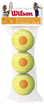 WILSON STARTER ORANGE BALLS Tennise pallid, 3 tk.