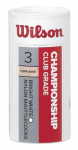 WILSON CHAMPIONSHIP White Fast Sulgpallipallid