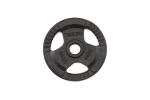 TOORX DGN-TG D50mm 10kg Kaaluketas