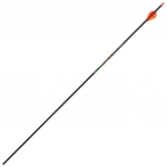 S&uuml;sinikkiust nool Skylon Edge mudel 500