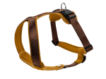 Hunter Neoprene Brown/Caramel Koera rakmed