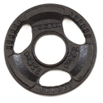 TOORX DGN-TG D50mm 1,25kg Kaaluketas