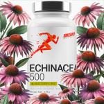 Dion ECHINACEA 500 Siilk&uuml;bara Ekstrakt 60 kapslid