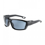 Wiley X Alpine Captivate ACALP02 Grey/Black Rust Laskmise kaitseprillid