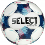 SELECT Brillant Training DB v25 FIFA Basic Jalgpall, 5 suurus