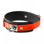 4wild BioThane 50 mm 38-52 cm Koera j&auml;lgimiskaelarihm