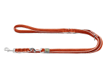 Hunter Hilo Orange Koerarihm