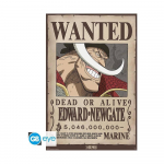 One Piece - Wanted Whitebeard Maxi Poster (91.5x61cm)