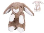 Plush toy - 04095 - BUNNY - size 20 cm