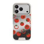 Salsa - iPhone 17 Pro Case, Elite Mirror Light (MagSafe) / Silver